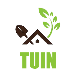 Kleine Bomen Verkoopwinkel